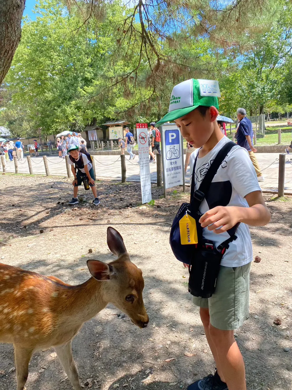 バスの中で楽しそうに過ごす子どもたち